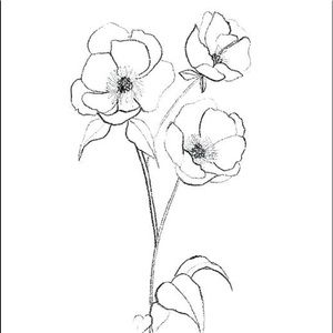 Meet your Posher, Avery